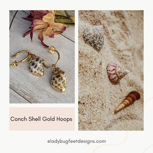 Gold Rimmed Natural Conch Seashell gold hoop earrings, Hoop Drop, 16mm - - LadybugfeetDesigns -