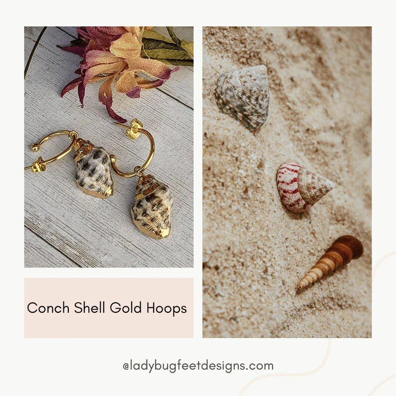 Gold Rimmed Natural Conch Seashell gold hoop earrings, Hoop Drop, 16mm - - LadybugfeetDesigns -