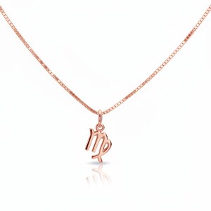 Zodiac Symbol Necklace, Rose Gold - 17 inches - - LadybugfeetDesigns -