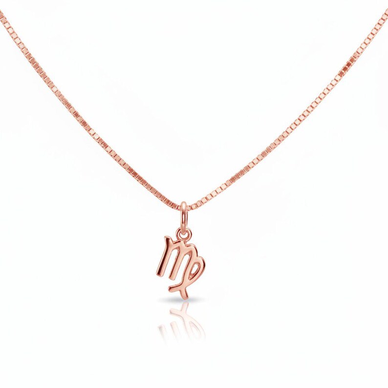 Zodiac Symbol Necklace, Rose Gold - 17 inches - - LadybugfeetDesigns -
