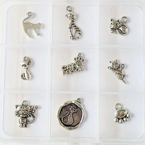 Cat Person Charm Box - 9 pc., Silver - - LadybugfeetDesigns -