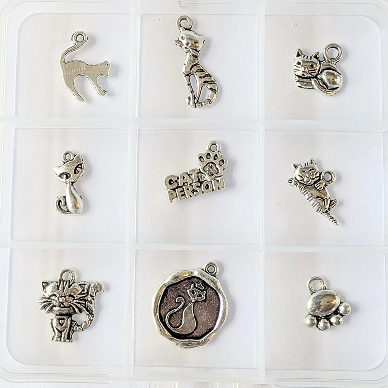 Cat Person Charm Box - 9 pc., Silver - - LadybugfeetDesigns -