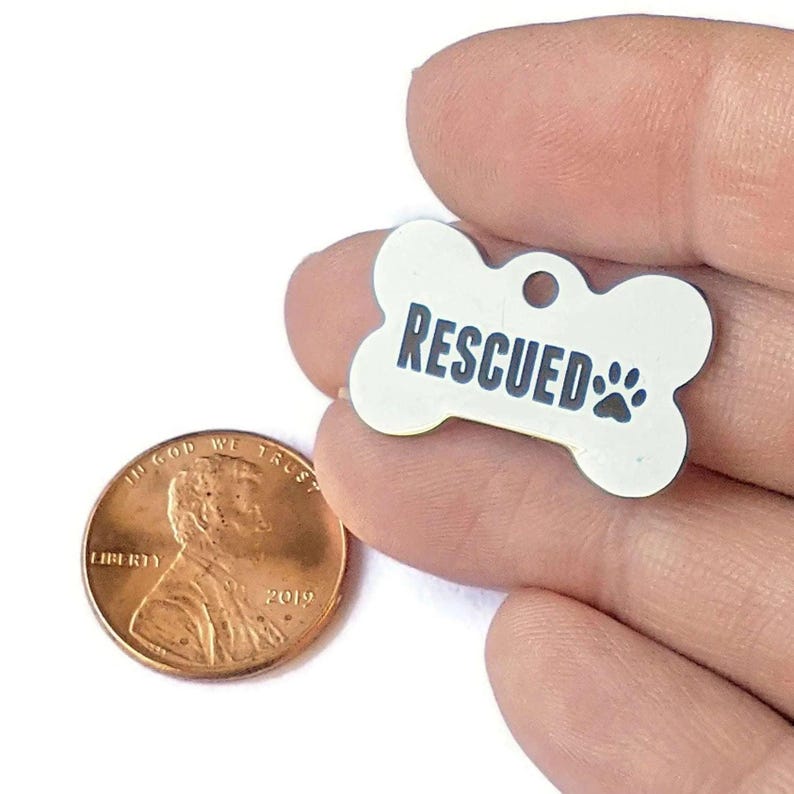 Rescued Charm - - LadybugfeetDesigns -