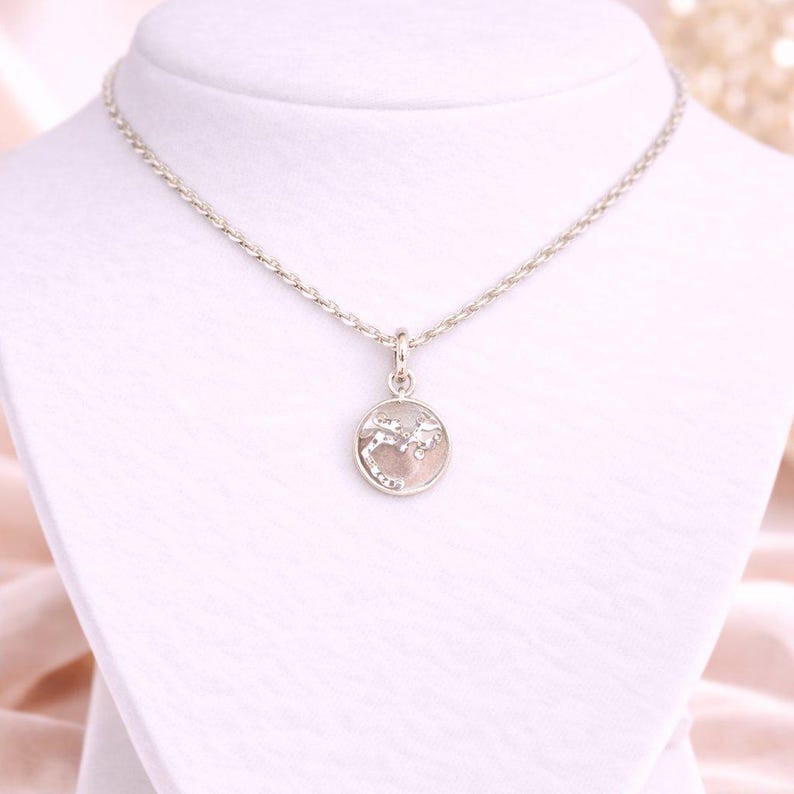 Zodiac Constellation Necklace, Silver - 12-24 inch - - LadybugfeetDesigns -