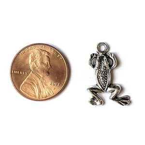 Silver Frog Charm - - LadybugfeetDesigns -