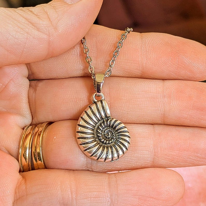 Sea Snail Shell necklace, Silver - 20 inch - - LadybugfeetDesigns -