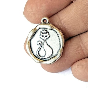 Framed Cat Portrait Charm - - LadybugfeetDesigns -