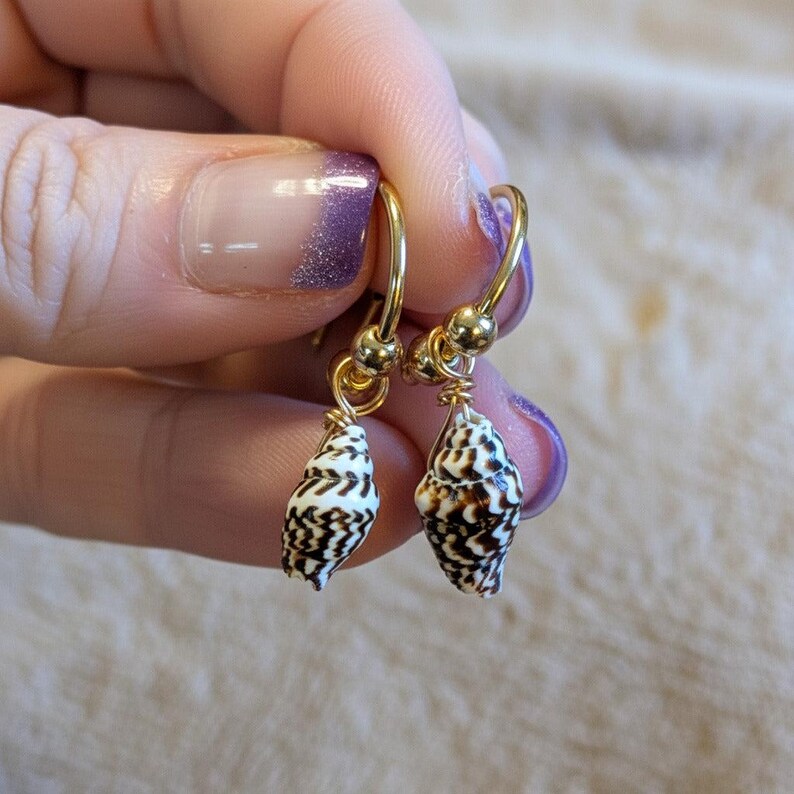 Genuine Conch Shell II Hoop Earrings, Gold - 16mm - - LadybugfeetDesigns -