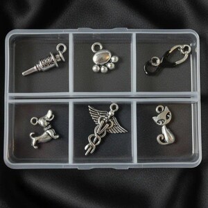 Veterinary Mini Charm Box - 6 pc., Silver - - LadybugfeetDesigns -