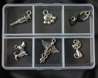 Veterinary Mini Charm Box - 6 pc., Silver