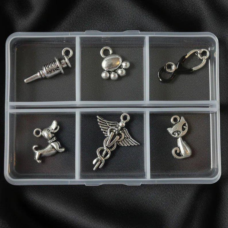 Veterinary Mini Charm Box - 6 pc., Silver - - LadybugfeetDesigns -