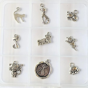 Cat Person Charm Box - 9 pc., Silver - - LadybugfeetDesigns -