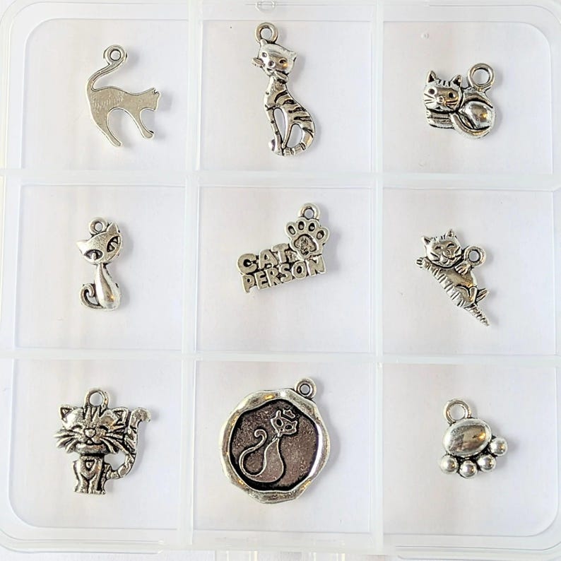 Cat Person Charm Box - 9 pc., Silver - - LadybugfeetDesigns -