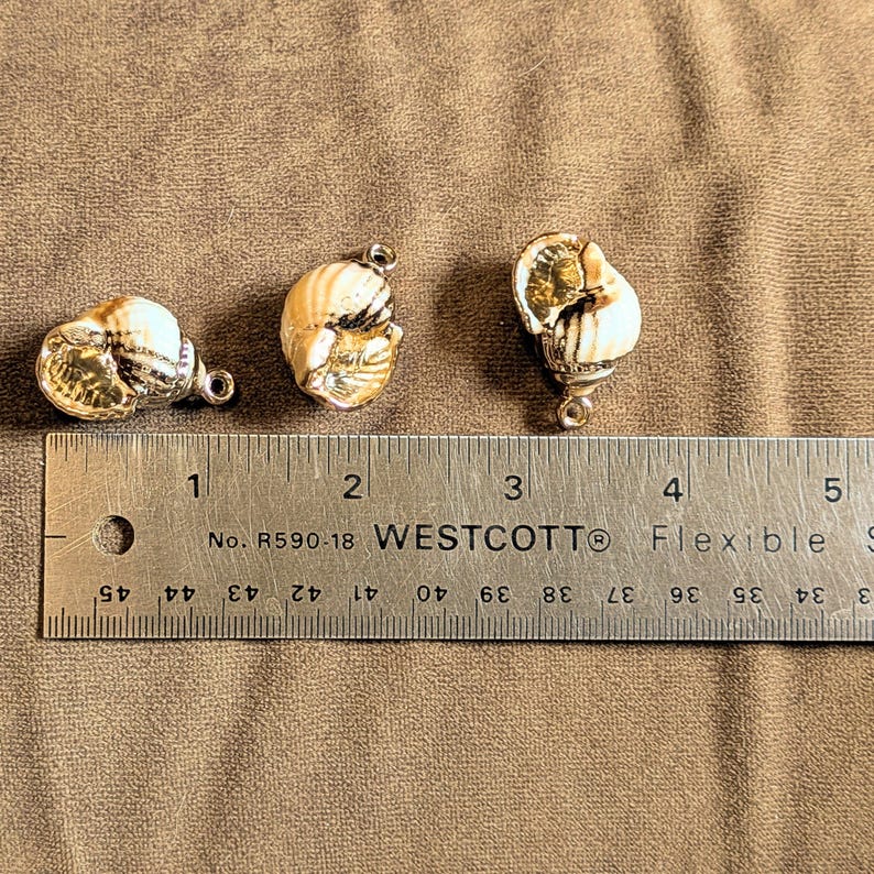 Chunky Conch Shell Charm Bracelet, Gold - - LadybugfeetDesigns -