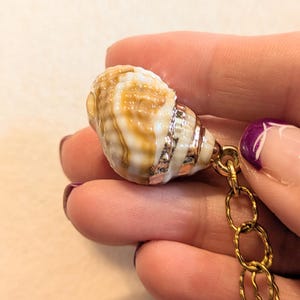 Chunky Conch Shell Charm Bracelet, Gold - - LadybugfeetDesigns -