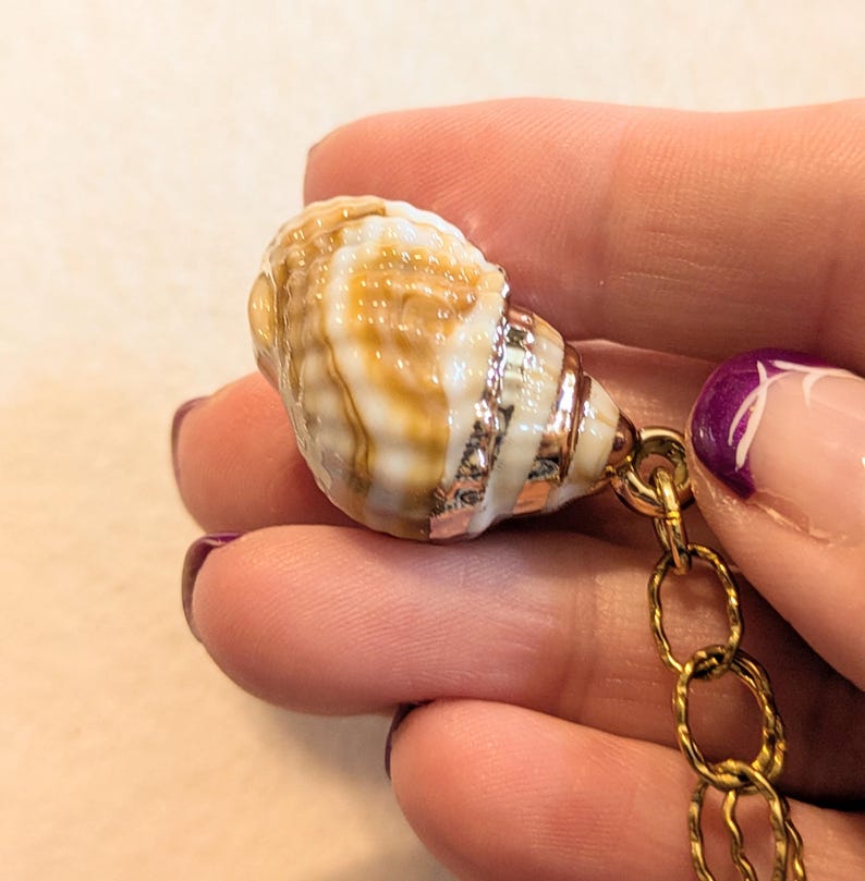 Chunky Conch Shell Charm Bracelet, Gold - - LadybugfeetDesigns -