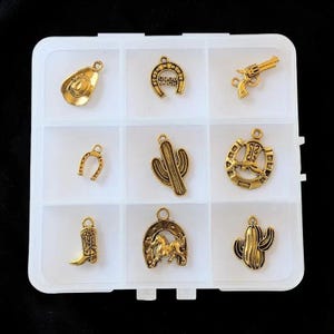 Wild West Themed Charm Box - 9 pc., Gold - - LadybugfeetDesigns -