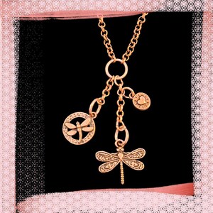Dragonfly Charm Keeper Necklace, Antique Copper - 18-24 inch - - LadybugfeetDesigns -