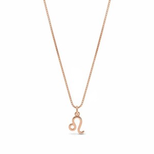 Zodiac Symbol Necklace, Rose Gold - 17 inches - - LadybugfeetDesigns -