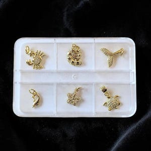Ocean Lover CZ Mini Charm Box - 6 pc., Gold - - LadybugfeetDesigns -