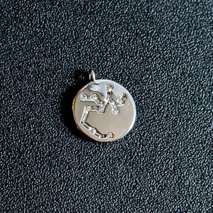 Zodiac Constellation Necklace, Silver - 12-24 inch - - LadybugfeetDesigns -
