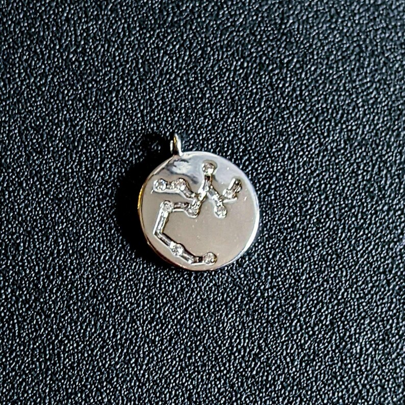 Zodiac Constellation Necklace, Silver - 12-24 inch - - LadybugfeetDesigns -