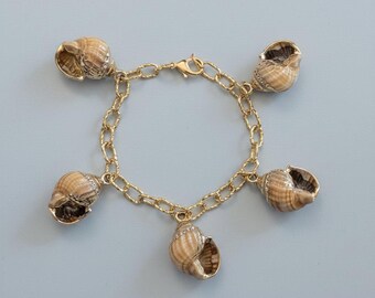 Chunky Conch Shell Charm Bracelet, Gold