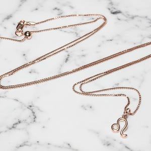 Zodiac Symbol Necklace, Rose Gold - 17 inches - - LadybugfeetDesigns -