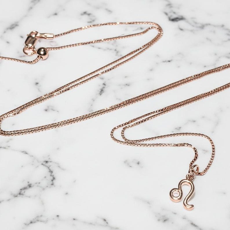 Zodiac Symbol Necklace, Rose Gold - 17 inches - - LadybugfeetDesigns -