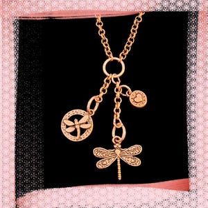 Dragonfly Copper Charm Keeper Necklace, 18-24 inch - - LadybugfeetDesigns -