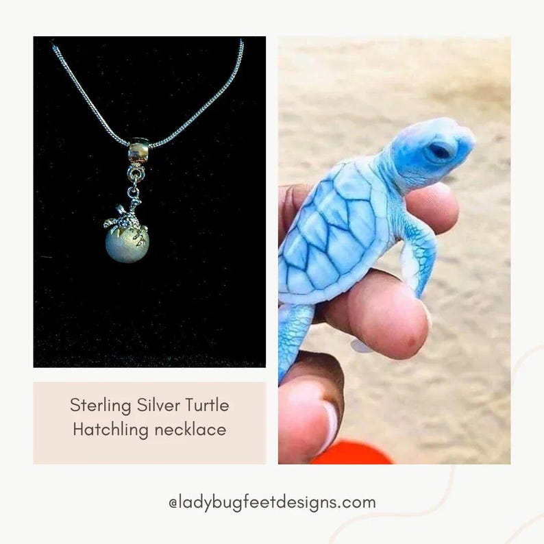 Sea Turtle Hatchling necklace, Sterling Silver - 24 inch - - LadybugfeetDesigns -