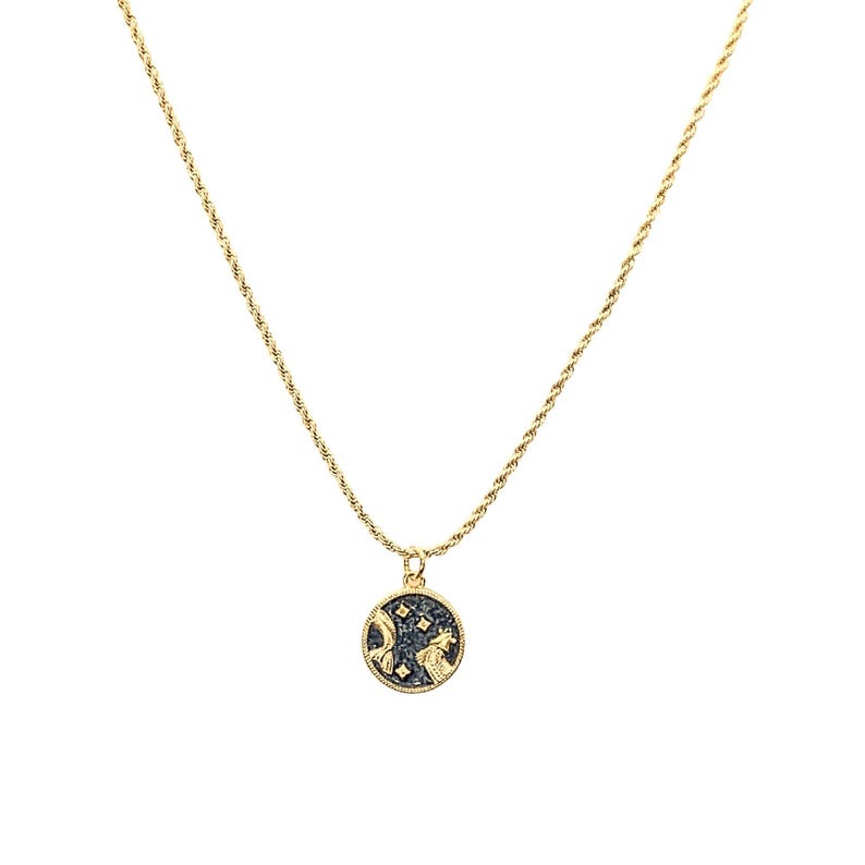 Blue Enamel Zodiac Pendant Necklace, Gold - 20 inches - - LadybugfeetDesigns -