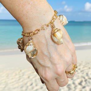 Chunky Conch Shell Charm Bracelet, Gold - - LadybugfeetDesigns -