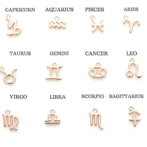 Zodiac Symbol Necklace, Rose Gold - 17 inches - - LadybugfeetDesigns -