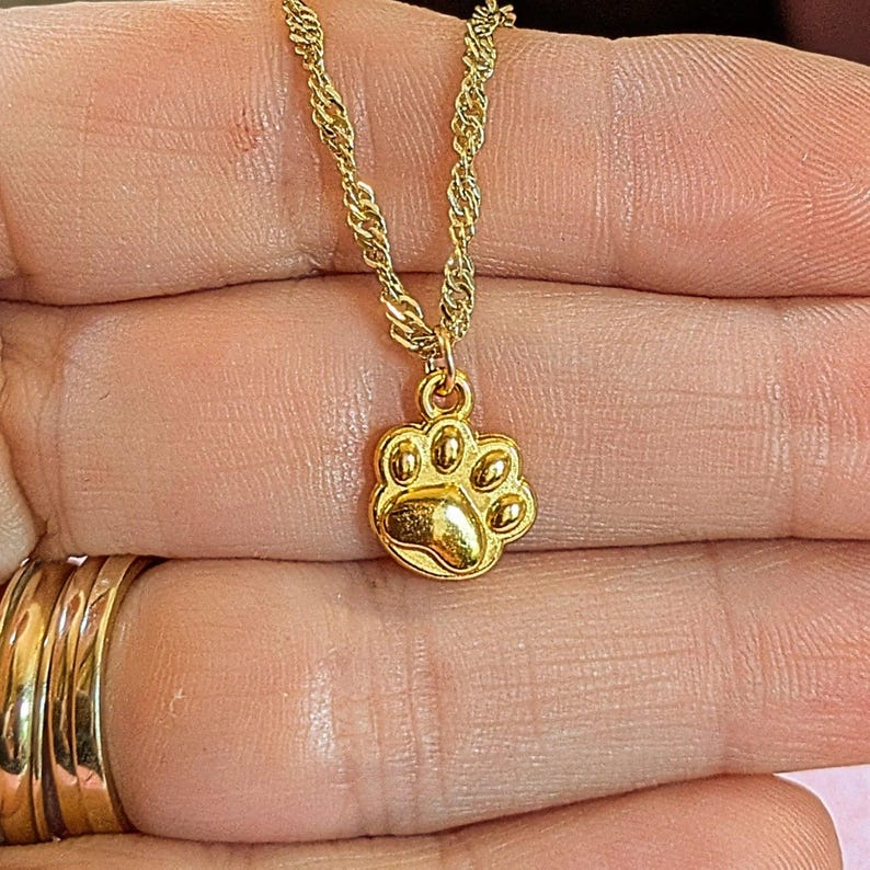 Paw Print necklace, Gold- 20 inch - - LadybugfeetDesigns -