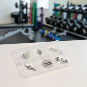 Physical Therapist Mini Charm Box - 6 pc., Silver - - LadybugfeetDesigns -