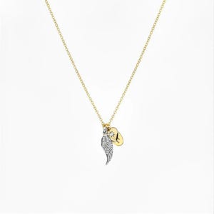 Forever in my Heart Memory necklace, Gold - 20 inch - - LadybugfeetDesigns -