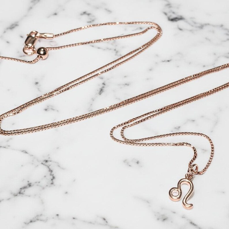 Zodiac Symbol Necklace, Rose Gold - 17 inches - - LadybugfeetDesigns -