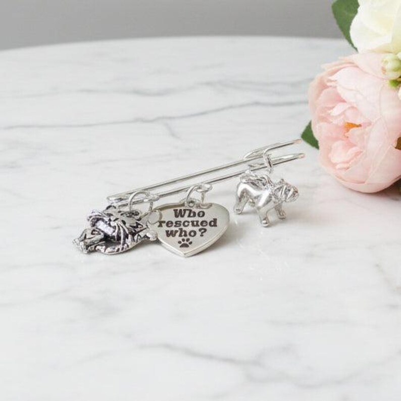 Who Rescued Who? Safety Pin Brooch, Purse Charm - - LadybugfeetDesigns -