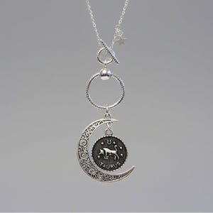 Crescent Moon Zodiac Sign Necklace, Silver - 20 inch - - LadybugfeetDesigns -