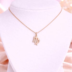 Zodiac Symbol Necklace, Rose Gold - 17 inches - - LadybugfeetDesigns -