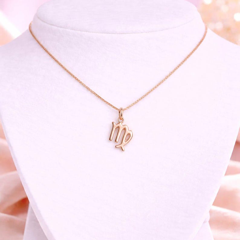 Zodiac Symbol Necklace, Rose Gold - 17 inches - - LadybugfeetDesigns -