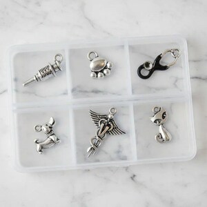 Veterinary Mini Charm Box - 6 pc., Silver - - LadybugfeetDesigns -