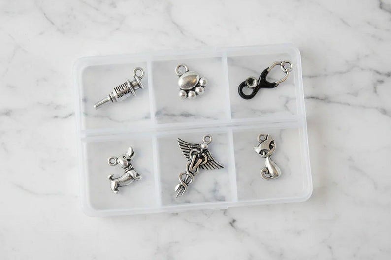 Veterinary Mini Charm Box - 6 pc., Silver - - LadybugfeetDesigns -