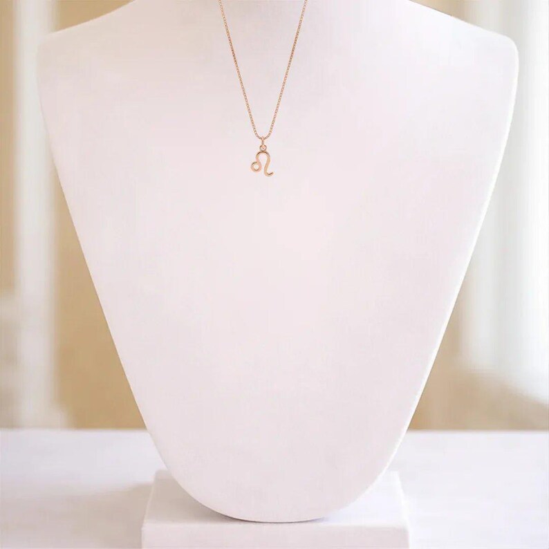 Zodiac Symbol Necklace, Rose Gold - 17 inches - - LadybugfeetDesigns -