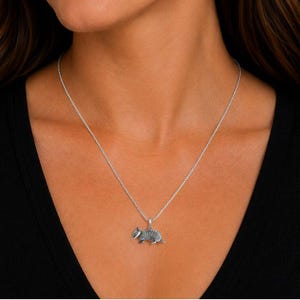 Armadillo Pendant charm necklace, Sterling Silver - 22 inch - - LadybugfeetDesigns -