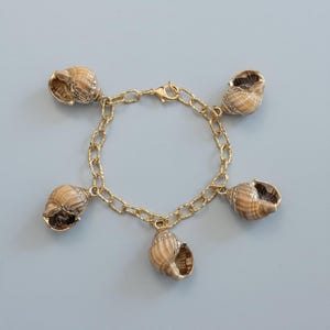 Chunky Conch Shell Charm Bracelet, Gold - - LadybugfeetDesigns -