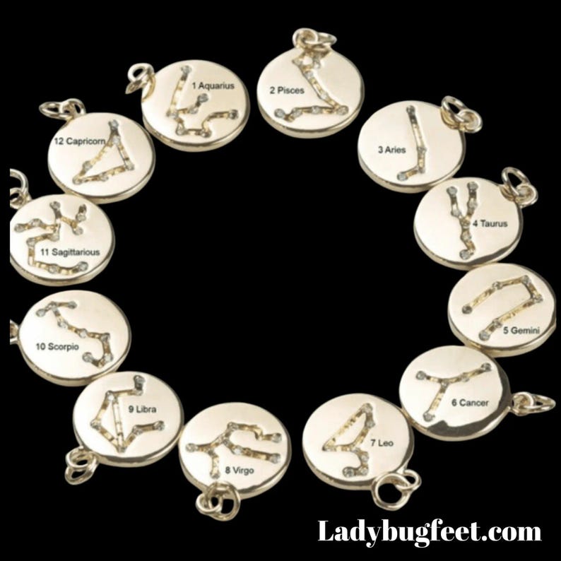 Zodiac Constellation Necklace, Silver - 12-24 inch - - LadybugfeetDesigns -