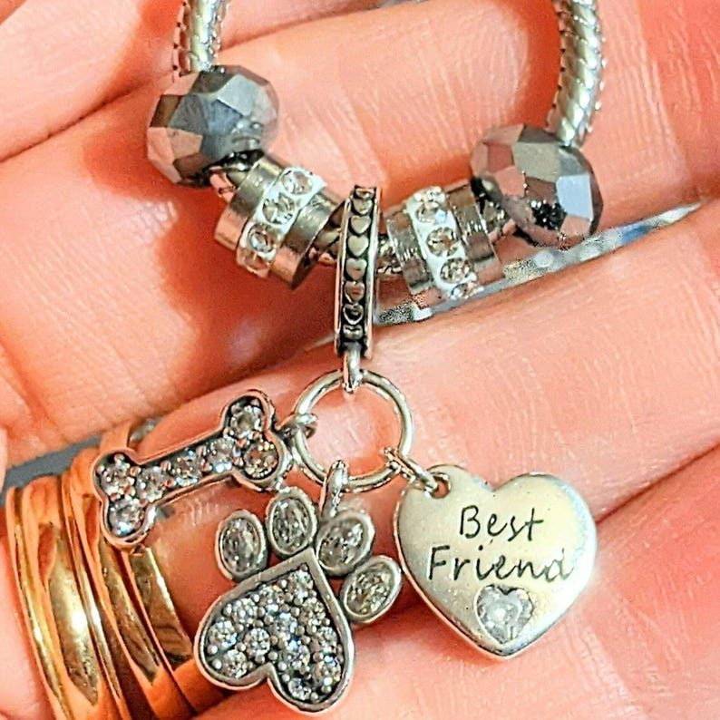Best Friend Sterling Silver Toggle Charm Necklace, 20 inches - - LadybugfeetDesigns -