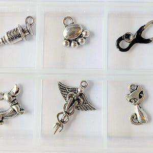 Veterinary Mini Charm Box - 6 pc., Silver - - LadybugfeetDesigns -